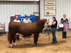 2019 Cash Olmsted County Fair